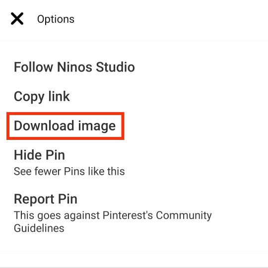 Tap on the Download image option. That's how to download all images from the Pinterest board. 