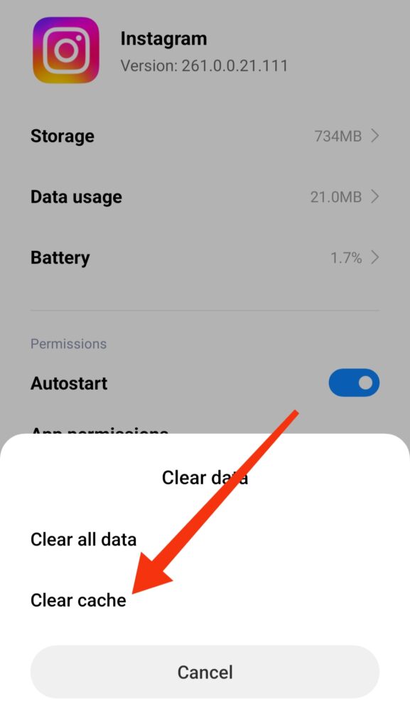Clear The App Cache